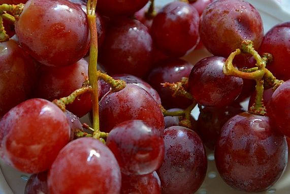 種無し葡萄はなぜ種がない？食物調整剤が関係しています